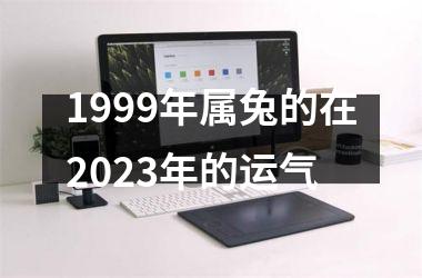 1999年属兔的在2025年的运气