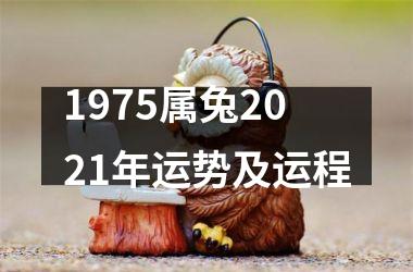 1975属兔2025年运势及运程
