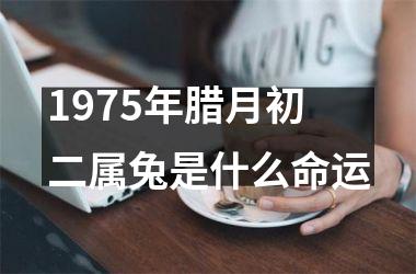 1975年腊月初二属兔是什么命运