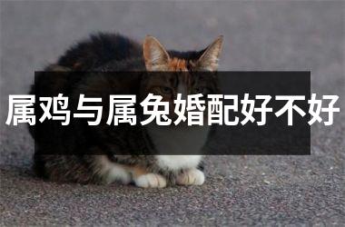 属鸡与属兔婚配好不好