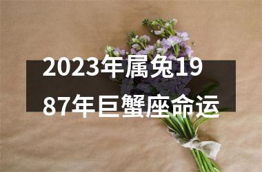 2025年属兔1987年巨蟹座命运