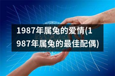 1987年属兔的爱情(1987年属兔的最佳配偶)