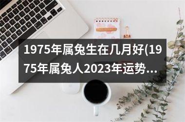 1975年属兔生在几月好(1975年属兔人2025年运势及运程)