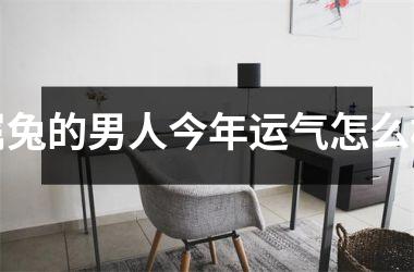 属兔的男人今年运气怎么样