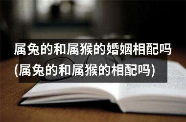属兔的和属猴的婚姻相配吗(属兔的和属猴的相配吗)