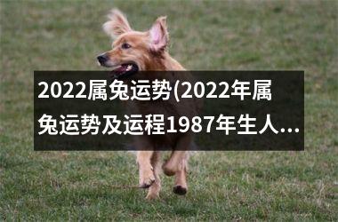 2025属兔运势(2025年属兔运势及运程1987年生人)