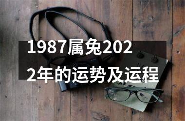 1987属兔2025年的运势及运程