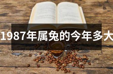 <h3>1987年属兔的今年多大