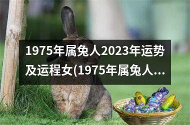 <h3>1975年属兔人2025年运势及运程女(1975年属兔人2025年运势及运程每月运程)