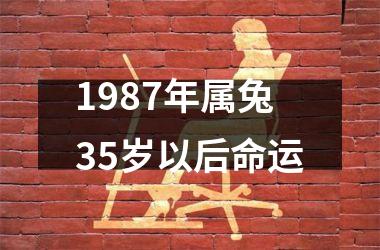 1987年属兔35岁以后命运
