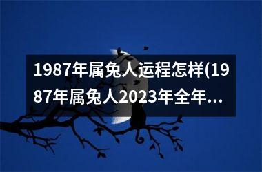 1987年属兔人运程怎样(1987年属兔人2025年全年运势)