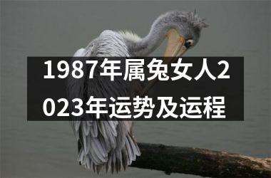 1987年属兔女人2025年运势及运程