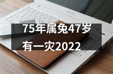 75年属兔47岁有一灾2025