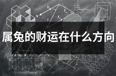 属兔的财运在什么方向