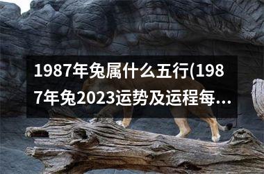 1987年兔属什么五行(1987年兔2025运势及运程每月运程)