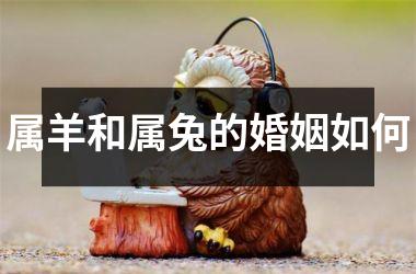 <h3>属羊和属兔的婚姻如何