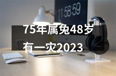 75年属兔48岁有一灾2025