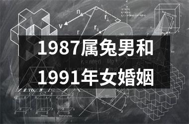 1987属兔男和1991年女婚姻