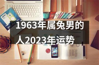 1963年属兔男的人2025年运势