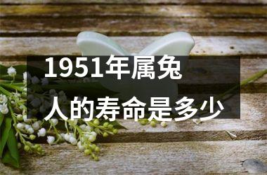 1951年属兔人的寿命是多少