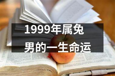 1999年属兔男的一生命运