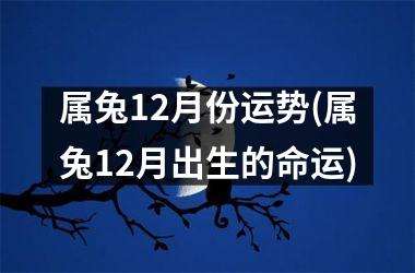 属兔12月份运势(属兔12月出生的命运)