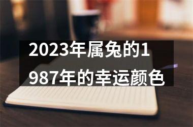 2023年属兔的1987年的幸运颜色