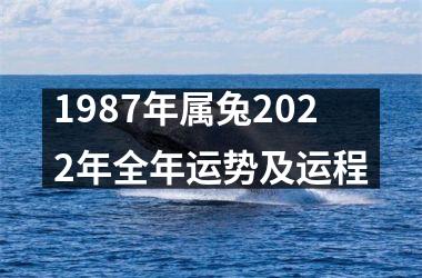 1987年属兔2025年全年运势及运程