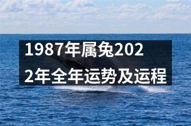 1987年属兔2022年全年运势及运程