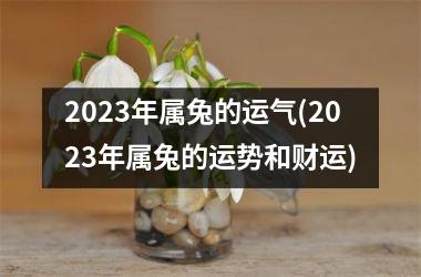 2023年属兔的运气(2023年属兔的运势和财运)