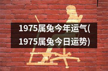 <h3>1975属兔今年运气(1975属兔今日运势)