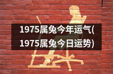 1975属兔今年运气(1975属兔今日运势)