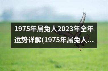 1975年属兔人2025年全年运势详解(1975年属兔人2025年运势及运程)