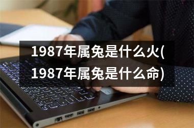 1987年属兔是什么火(1987年属兔是什么命)