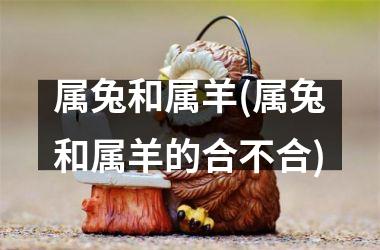 <h3>属兔和属羊(属兔和属羊的合不合)