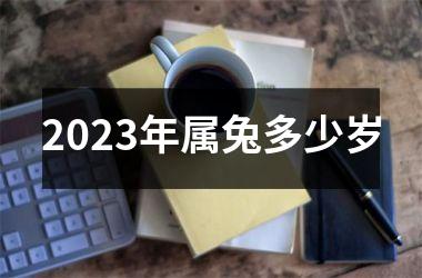 2023年属兔多少岁