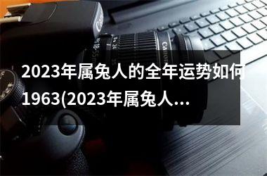 2023年属兔人的全年运势如何1963(2023年属兔人的全年运势如何)