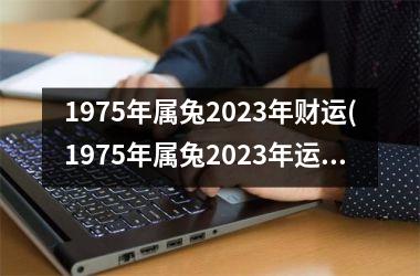 1975年属兔2023年财运(1975年属兔2023年运势及运程每月运程)