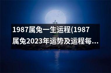 1987属兔一生运程(1987属兔2023年运势及运程每月运程)