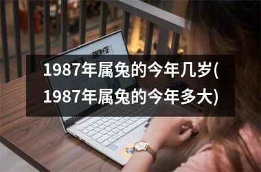 1987年属兔的今年几岁(1987年属兔的今年多大)