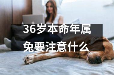 36岁本命年属兔要注意什么