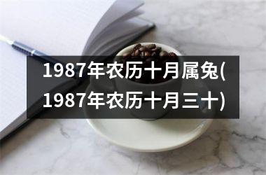 1987年农历十月属兔(1987年农历十月三十)