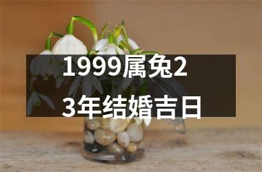 1999属兔23年结婚吉日