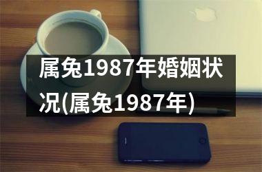 属兔1987年婚姻状况(属兔1987年)