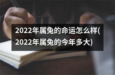 2022年属兔的命运怎么样(2022年属兔的今年多大)