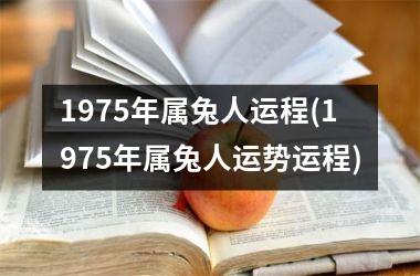 1975年属兔人运程(1975年属兔人运势运程)