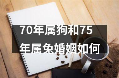 70年属狗和75年属兔婚姻如何