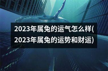 2023年属兔的运气怎么样(2023年属兔的运势和财运)