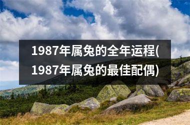 <h3>1987年属兔的全年运程(1987年属兔的最佳配偶)