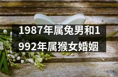 1987年属兔男和1992年属猴女婚姻